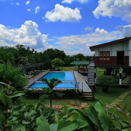 Eco Hotel Black & White - Anuradhapura مايهينتاليه المظهر الخارجي الصورة