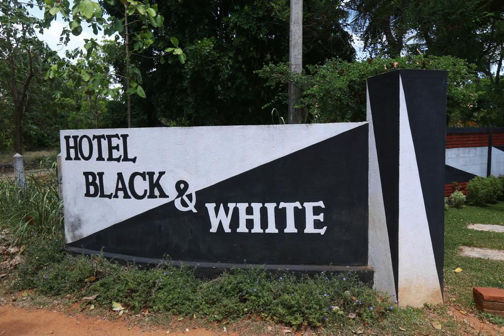 Eco Hotel Black & White - Anuradhapura مايهينتاليه المظهر الخارجي الصورة
