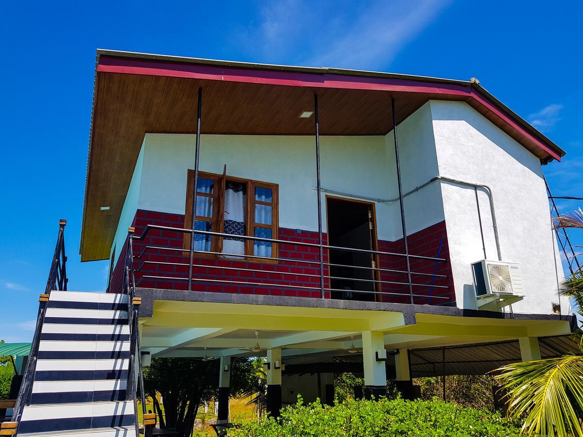 Eco Hotel Black & White - Anuradhapura مايهينتاليه المظهر الخارجي الصورة
