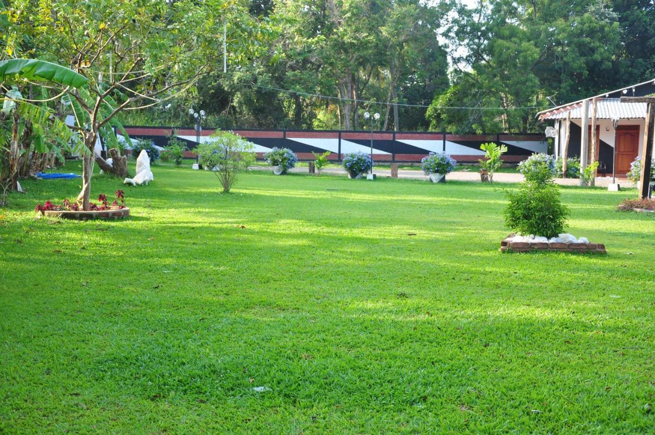 Eco Hotel Black & White - Anuradhapura مايهينتاليه المظهر الخارجي الصورة